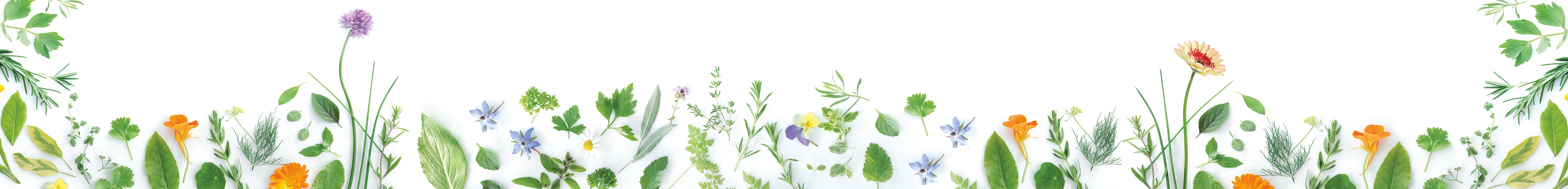 Customise your - Fleurs & Herbes