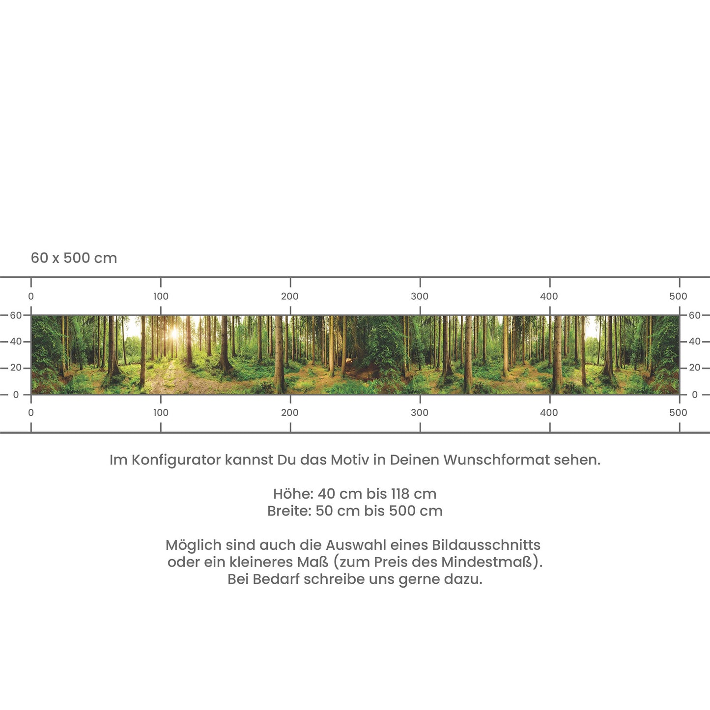 Crédence de Cuisine Adhésive - Forêt